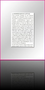 l'Officiel de la chirurgie esthetique Février 2008